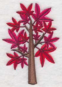 Colors of Fall - Sweet Gum Tree