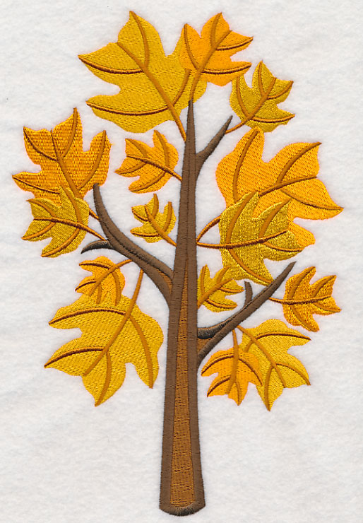 Colors of Fall - Yellow Poplar Tree