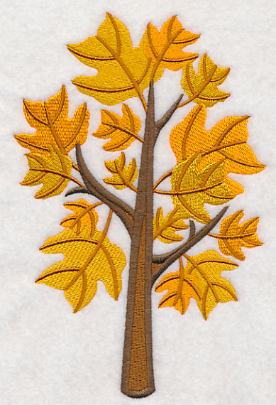 Colors of Fall - Yellow Poplar Tree