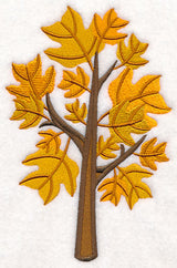 Colors of Fall - Yellow Poplar Tree