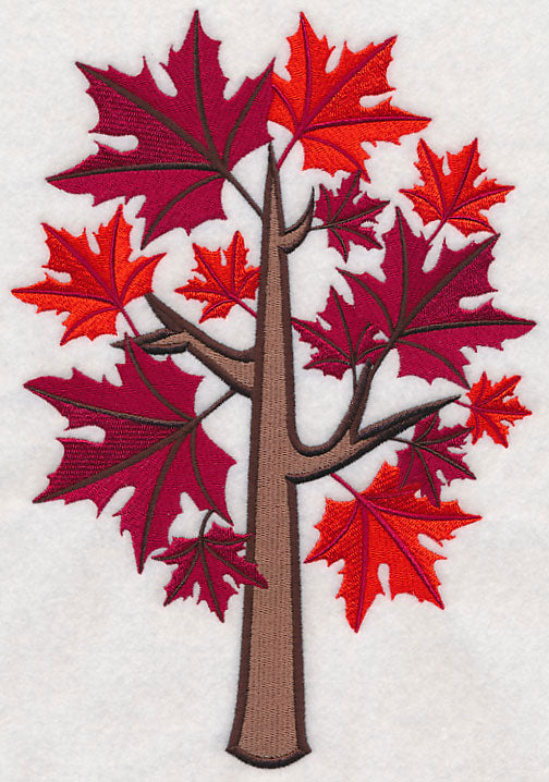 Colors of Fall - Sugar Maple Tree