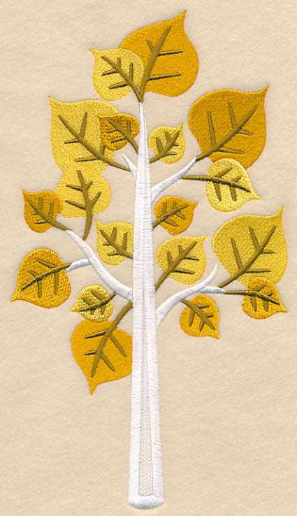 Colors of Fall - Aspen Tree