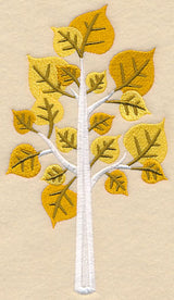 Colors of Fall - Aspen Tree