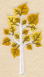 Colors of Fall - Aspen Tree