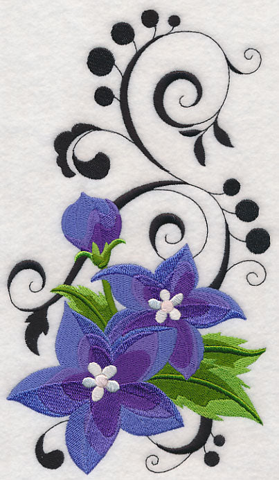 Fanciful Balloon Flower