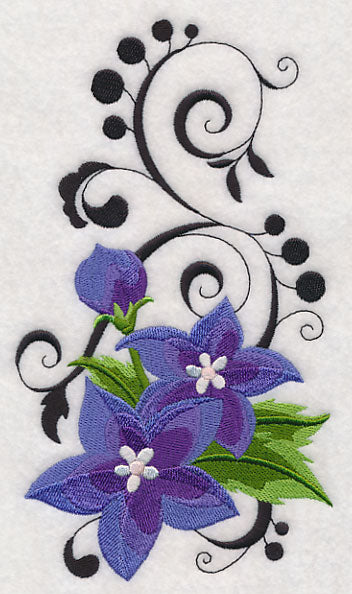 Fanciful Balloon Flower