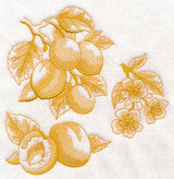 Apricot Botanical (Toile)