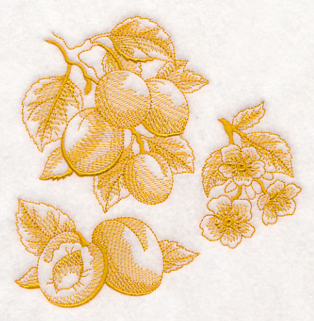 Apricot Botanical (Toile)
