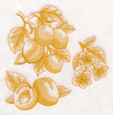 Apricot Botanical (Toile)