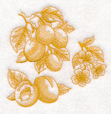 Apricot Botanical (Toile)