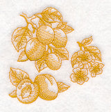Apricot Botanical (Toile)