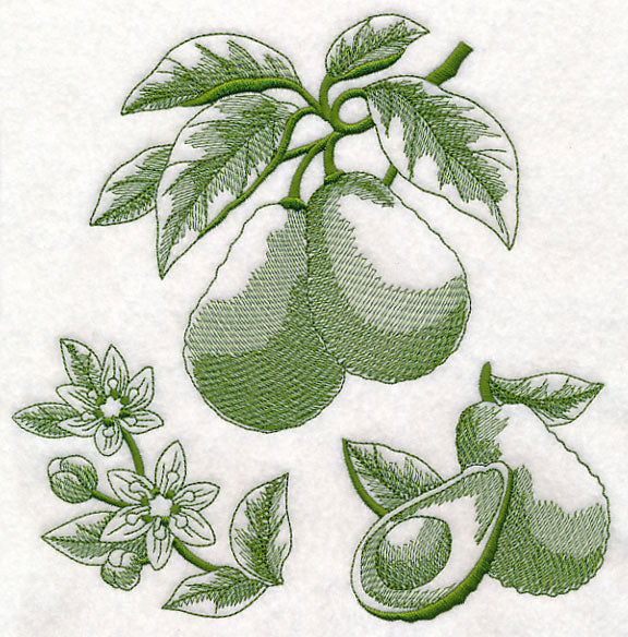 Avocado Botanical (Toile)