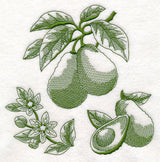 Avocado Botanical (Toile)