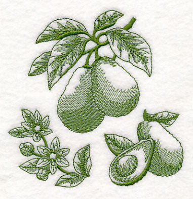 Avocado Botanical (Toile)