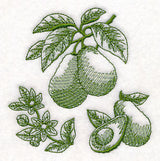 Avocado Botanical (Toile)