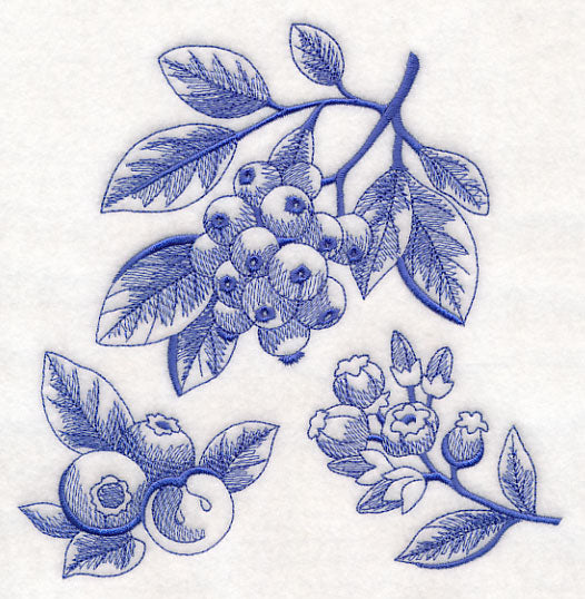 Blueberry Botanical (Toile)