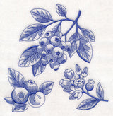Blueberry Botanical (Toile)