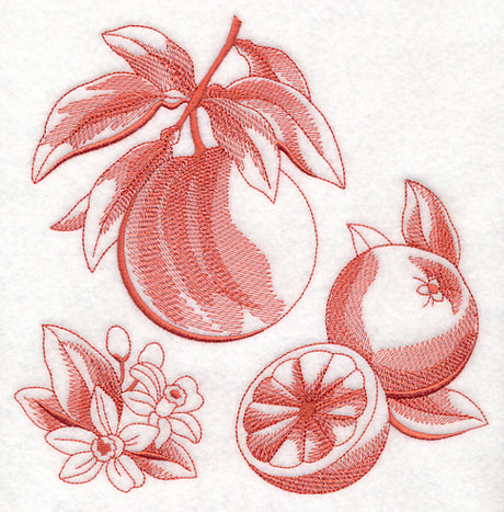 Grapefruit Botanical (Toile)
