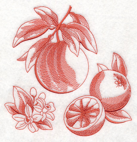 Grapefruit Botanical (Toile)