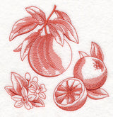 Grapefruit Botanical (Toile)