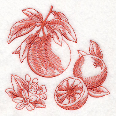 Grapefruit Botanical (Toile)