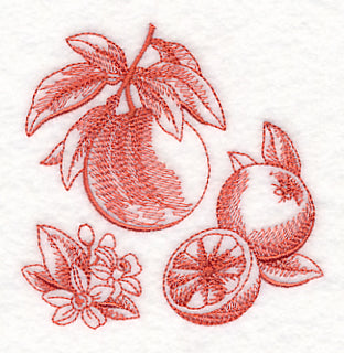Grapefruit Botanical (Toile)