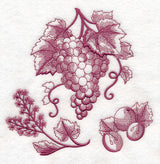 Grapes Botanical (Toile)