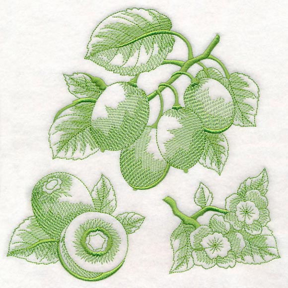 Kiwi Botanical (Toile)