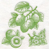 Kiwi Botanical (Toile)