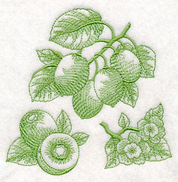 Kiwi Botanical (Toile)