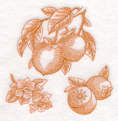 Persimmon Botanical (Toile)