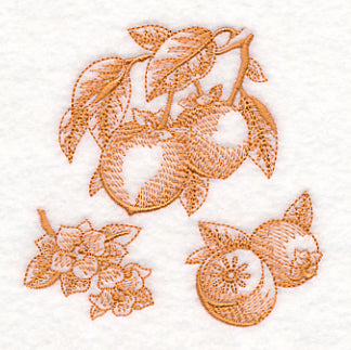 Persimmon Botanical (Toile)