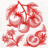 Tomato Botanical (Toile)