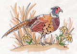Pheasant Sketch