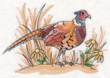 Pheasant Sketch