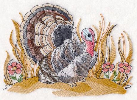 Turkey Sketch
