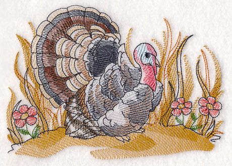 Turkey Sketch
