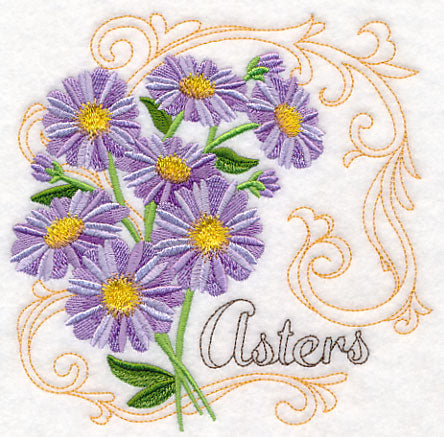 Asters with Flourish