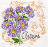 Asters with Flourish