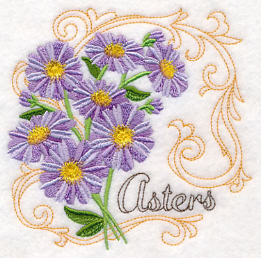 Asters with Flourish