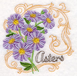 Asters with Flourish