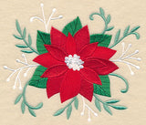 Blooming Christmas Poinsettia