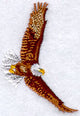 Soaring Eagle