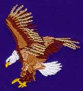 Diving Eagle