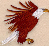 Flying Eagle