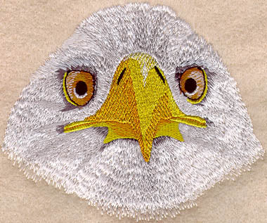 Eagle Face