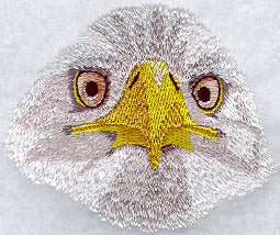 Eagle Face