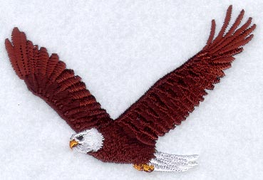 Gliding Eagle