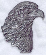 Eagle Portrait