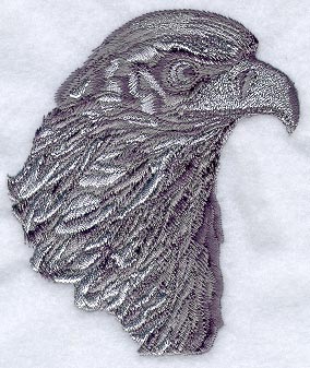 Eagle Portrait